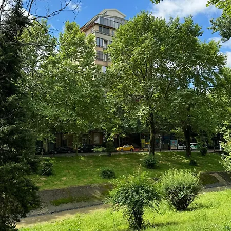 Apartman Palme Dor